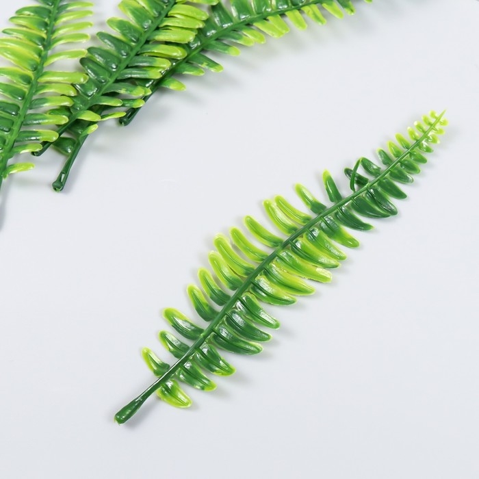 Декор для творчества Декор для творчества "Лист нефролеписа" набор 5 шт зелёный 16 см