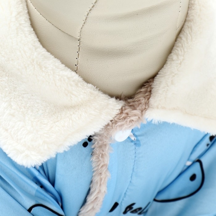 Комбинезон Комбинезон "Метель", размер XL (ДС 40 см, ОГ 50, ОШ 33 см), голубой