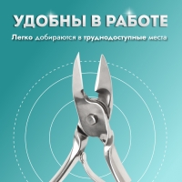 Кусачки педикюрные, прямое лезвие, 9,5 см, длина лезвия - 10 мм, цвет серебристый