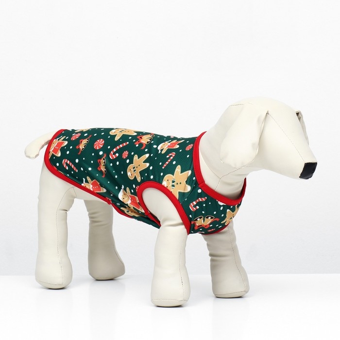 Толстовка  Толстовка "Пряня", размер XS (ДС 20, ОШ 20, ОГ 30 см), зелёная