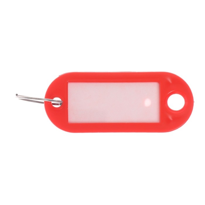 Набор брелоков для ключей 100 штук, 53 мм, МИКС Набор брелоков для ключей 100 штук, 53 мм, МИКС