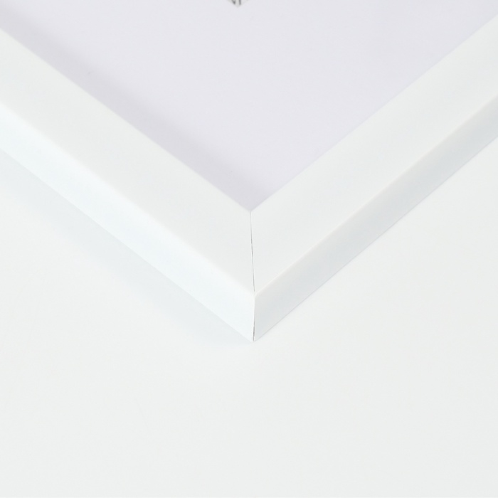 Фоторамка пластик Фоторамка пластик "МИРАМ" 50х70 см с паспарту (40х50 см) П641861-20 (6)