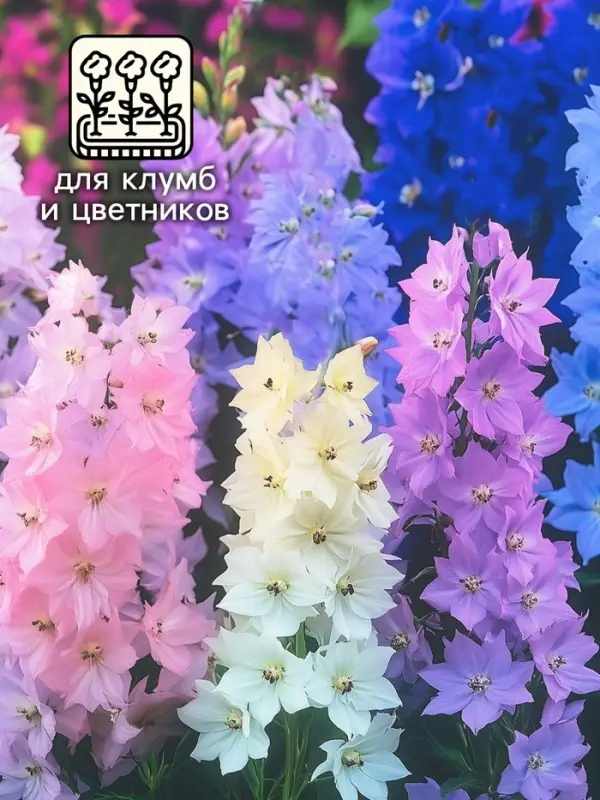 Семена цветов Дельфиниум  Семена цветов Дельфиниум "Махровый", ц/п,  0,05 г