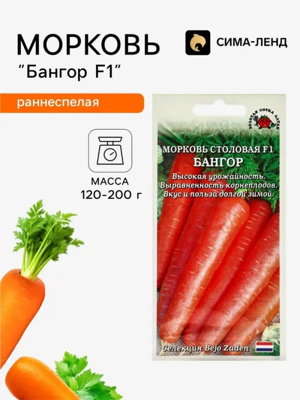 Семена Морковь столовая &laquo;Бангор&raquo;, F1, раннеспелая, 0.2 г, &laquo;Золотая сотка Алтая&raquo; селекция Bejo Zaden