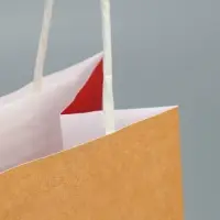 Пакет подарочный крафтовый, упаковка, «Душнила», 12 х 21 х 9 см