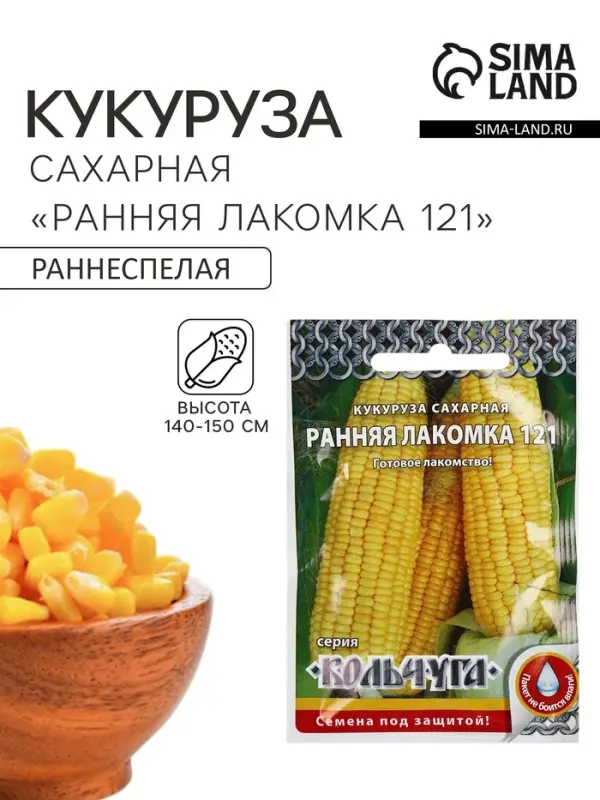 Семена Кукуруза сахарная &laquo;Ранняя лакомка 121&raquo;, 5 г, &laquo;Кольчуга&raquo;
