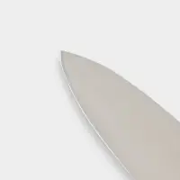 Нож Professional Master для мяса, длина лезвия 20 см