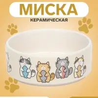 Миска &laquo;Парные коты&raquo;, 200 мл, 10.5&times;10.5&times;4 см, керамика, белая