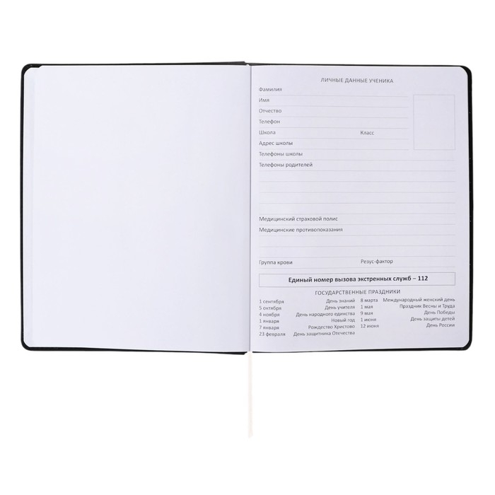 Дневник универсальный для 1-11 класса Dark brown, твёрдая обложка, искусственная кожа, с поролоном, ляссе, 80 г/м2