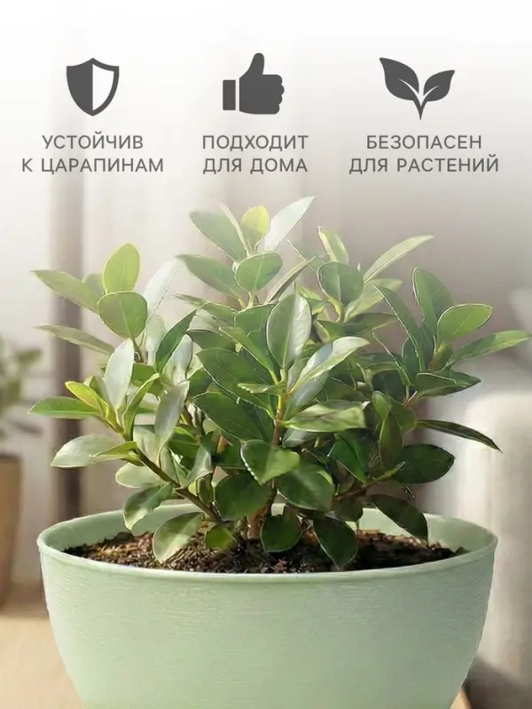 Горшок для цветов &laquo;Фиалочка&raquo;, 500 мл, d=12.5 см, h=7 см, пластиковый, зелёный