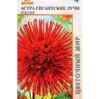 Семена Астра гигант Лучи Красная 0,3 г Семена Астра гигант Лучи Красная 0,3 г