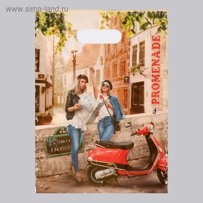 Пакет «Прогулка» полиэтиленовый с вырубной ручкой, 50 мкм, 30×40 см