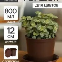 Горшок для цветов с поддоном &laquo;Доляна&raquo;, 800 мл, пластиковый, коричневый, оттенок МИКС