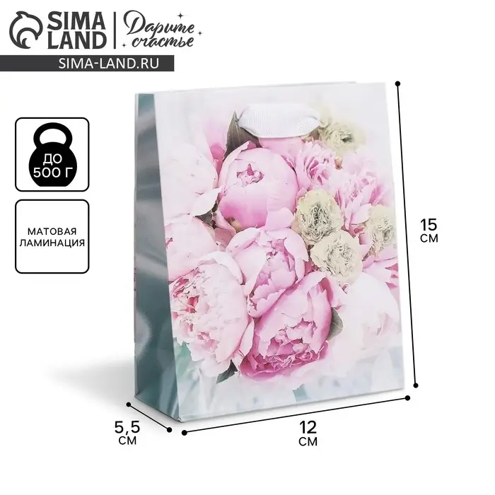 Пакет подарочный ламинированный, упаковка, «Радости!», S 12 х 15 х 5.5 Пакет подарочный ламинированный, упаковка, «Радости!», S 12 х 15 х 5.5