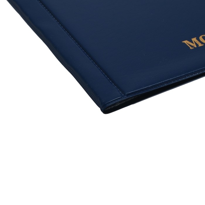 Альбом для монет 125 х 185 мм Calligrata  Альбом для монет 125 х 185 мм Calligrata "Комби" на 120 монет, 8 листов, обложка ПВХ, синий