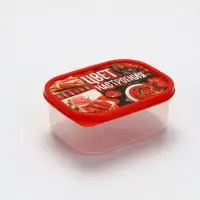 Ланч - бокс прямоугольный &laquo;Цвет настроения красный&raquo;, 500 мл