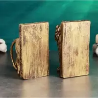 Держатель - подставка для книг "ЛЕВ" набор 2шт, бронза, 19,5х33см