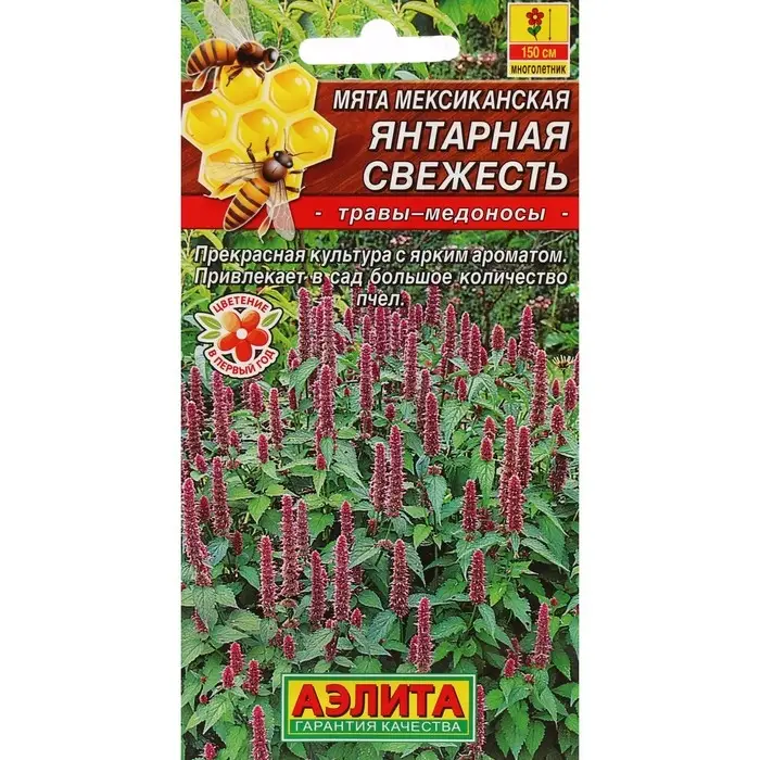 Семена Мята мексиканская  Семена Мята мексиканская "Янтарная свежесть", ц/п, 0,05 г