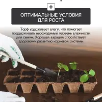 Набор для рассады: торфяная кассета, 24 ячейки по 50 мл, поддон 31&times;20 см, зелёный, пластик, Экоторф