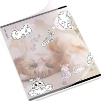 Тетрадь 48 листов в клетку ErichKrause Dream Cat, 60 г/м&sup2;, обложка мелованный картон, МИКС