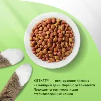 Сухой корм KiteKat &laquo;Мясной пир&raquo; для кошек, 15 кг