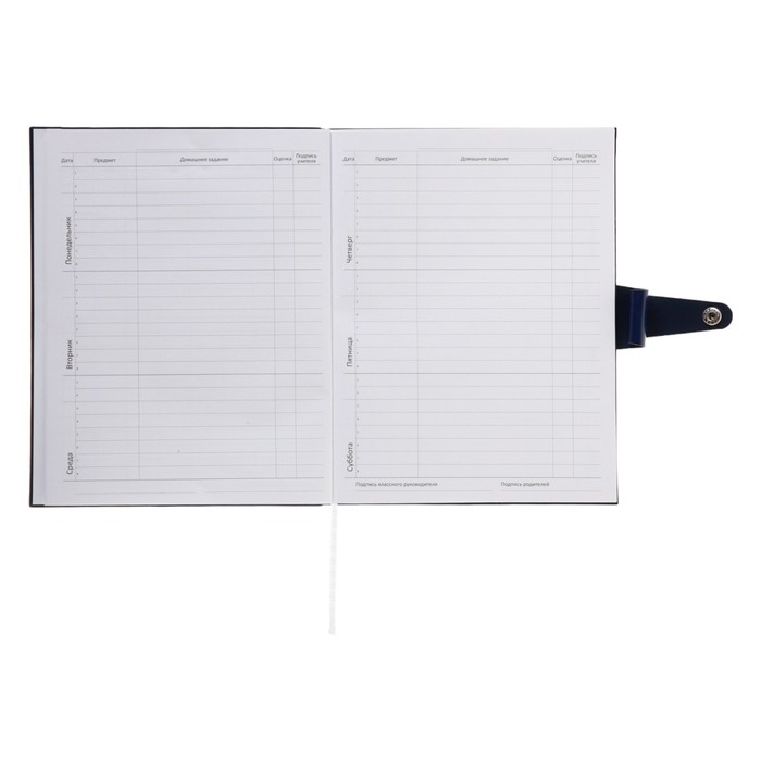 Дневник универсальный для 1-11 класса Favorite, мягкая обложка, на кнопке, искусственная кожа, тиснение фольгой, хлястик, ляссе, 48 листов