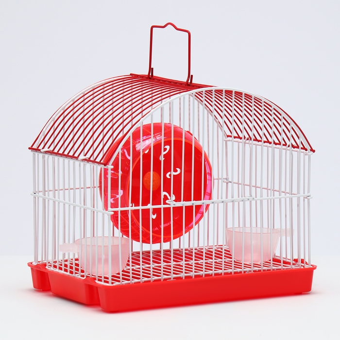 Клетка для грызунов укомплектованная RT-2c, 23 х 16,5 х 20 см, микс цветов (фасовка 30 шт) Клетка для грызунов укомплектованная RT-2c, 23 х 16,5 х 20 см, микс цветов (фасовка 30 шт)