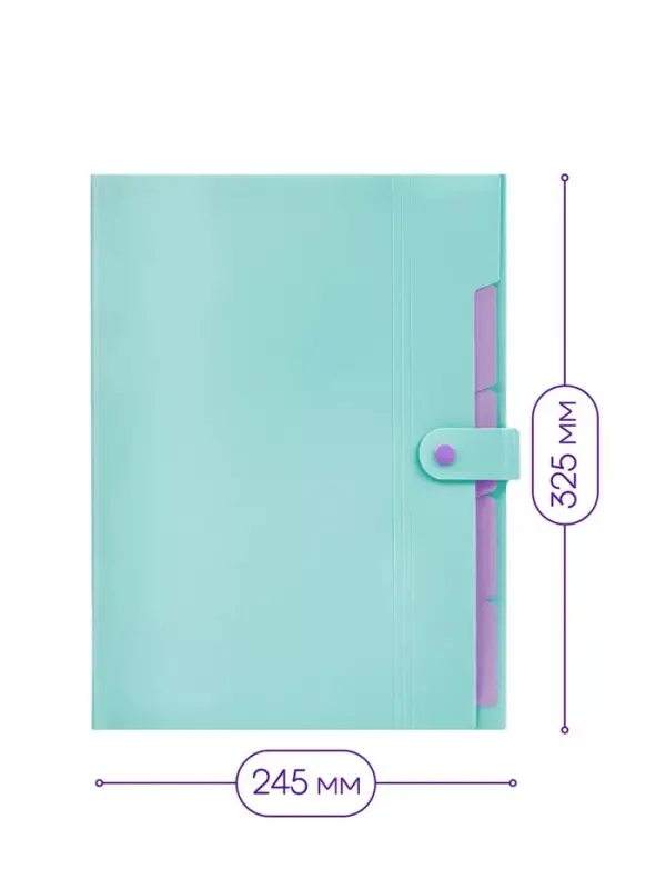 Папка А4, 5 отделений, Calligrata, 600 мкм, на кнопке, зеленая, матовая Папка А4, 5 отделений, Calligrata, 600 мкм, на кнопке, зеленая, матовая