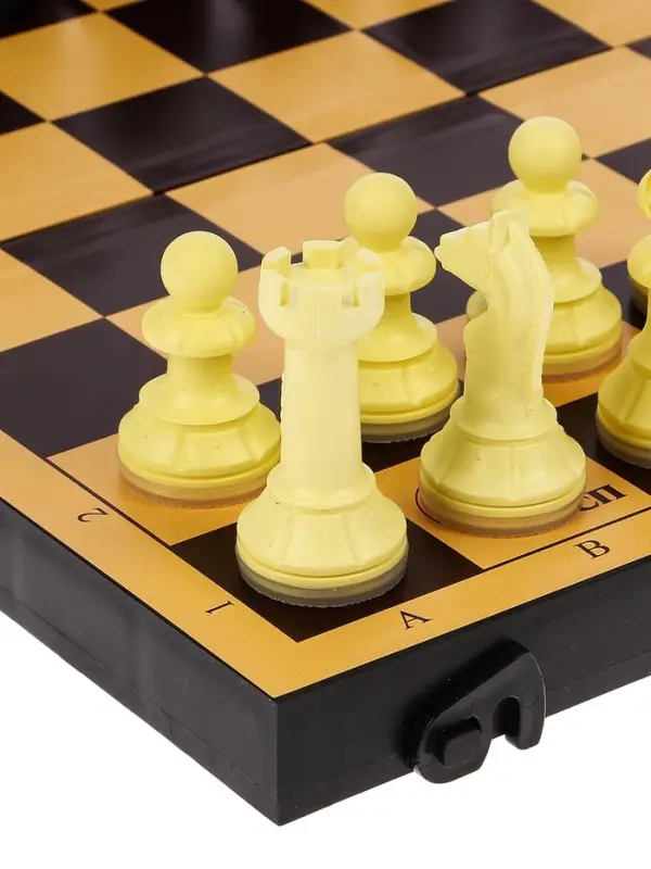 Настольные игры 2 в 1 &laquo;Семейная&raquo;: шахматы, шашки, доска пластик 30&times;30 см