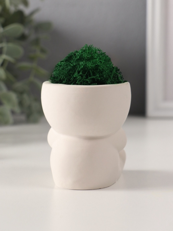 Кашпо бетонное  Кашпо бетонное "Мистер Зло" со мхом 7*6*6,5 см белый (мох зеленый стабилизированный)