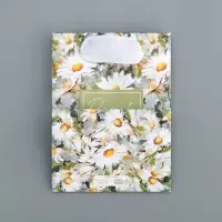 Пакет подарочный ламинированный, упаковка, Present, 9&times;12&times;6.5 см