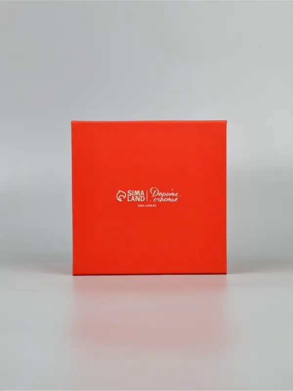 Набор подарочных коробк 5 в 1 «Уютный Новый год», 14×14×8–22×22×12 см Набор подарочных коробк 5 в 1 «Уютный Новый год», 14×14×8–22×22×12 см