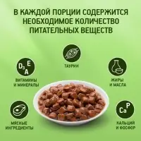 Влажный корм KiteKat для кошек, говядина в соусе, пауч, 85 г