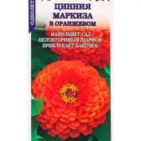 Семена Цинния Маркиза в Оранжевом /Сотка/ 0,2г/ h-90см, d-15см / *1000 Семена Цинния Маркиза в Оранжевом /Сотка/ 0,2г/ h-90см, d-15см / *1000