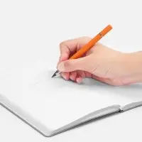 Ручка шариковая и вечный карандаш Diptych, оранжевая