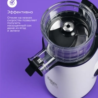 Соковыжималка электрическая шнековая SC-JE50S59