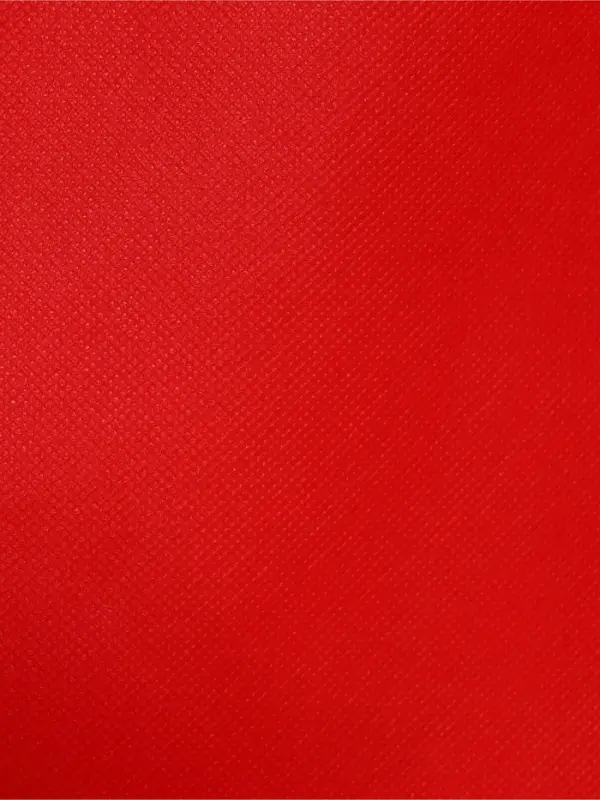 Пакет с петлевой ручкой, сумка - шопер &laquo;Эко&raquo;, 35&times;31&times;8 см, красный