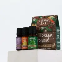 Эфирное масло «С новым годом», 3 шт х 10 мл, Банный Дух Эфирное масло «С новым годом», 3 шт х 10 мл, Банный Дух