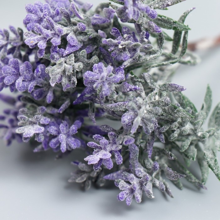 Искусственное растение для творчества "Котовник" 1 букет=6 веточек сиреневый 13 см