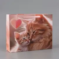 Пакет подарочный ламинированный горизонтальный &laquo;Котики&raquo;, 40&times;31&times;11.5 см