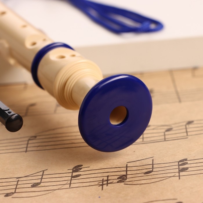 Блокфлейта Music Life, 8 отверстий, синий чехол, шомпол, 30 см Блокфлейта Music Life, 8 отверстий, синий чехол, шомпол, 30 см