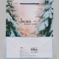 Пакет подарочный &laquo;Зима - время чудес&raquo;, 26&times;12&times;32 см