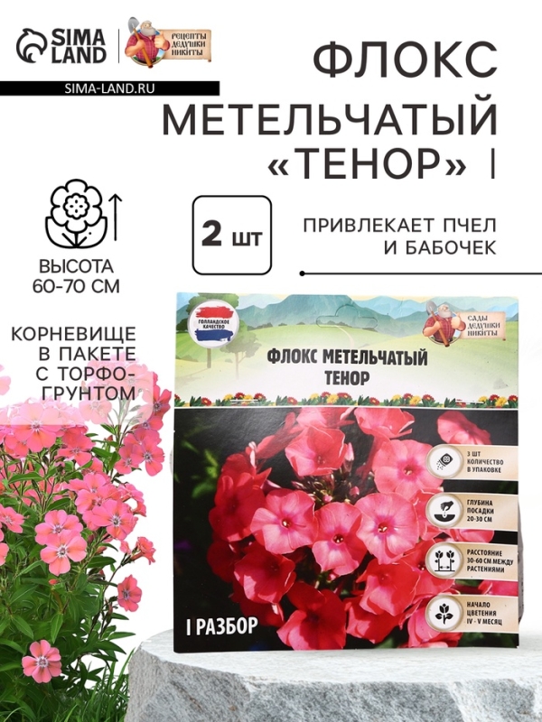 Флокс метельчатый «Тенор», корневище в пакете с торфогрунтом, р-р I, 2 шт.