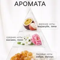 Диффузор ароматический с палочками XO The Cynosure, 200 мл