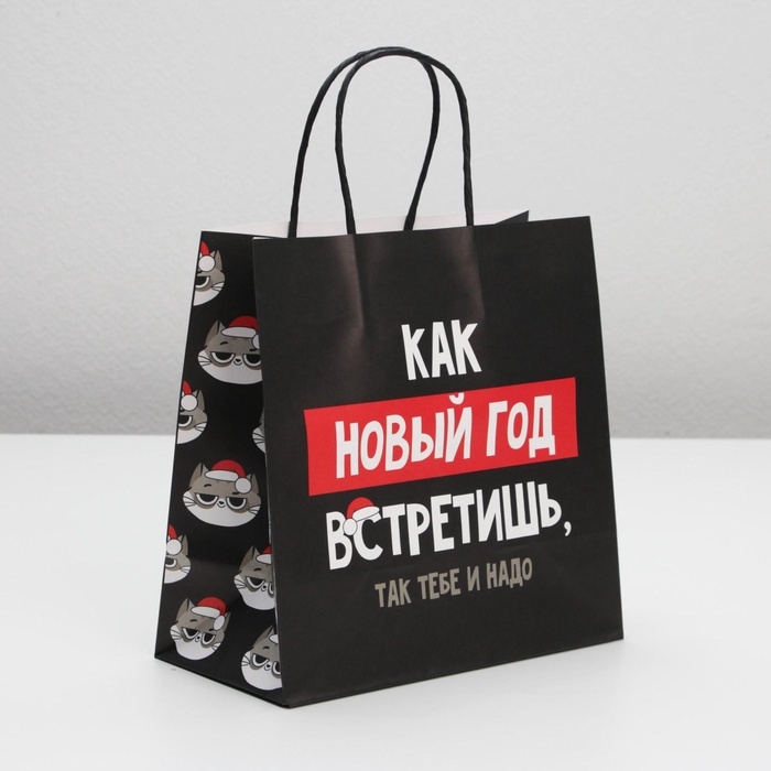 Пакет подарочный новогодний «Так тебе и надо», 22 х 22 х 11 см Пакет подарочный новогодний «Так тебе и надо», 22 х 22 х 11 см
