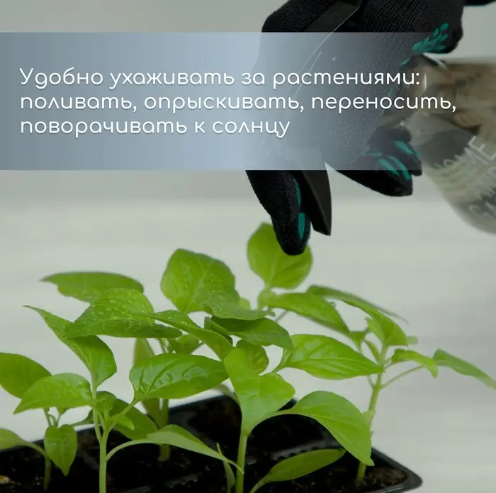 Кассета для рассады, 6 ячеек по 120 мл, пластик, чёрная, набор 5 шт.