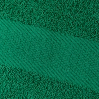 Набор полотенец махровых бордюр 440 г/м2, 70х140 ярко-зеленый, 5шт