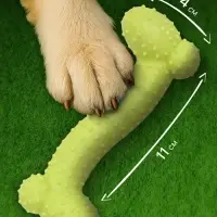 Жевательная игрушка для собак &laquo;Любимое лакомство&raquo;, 11&times;4 см, TPR, салатовая