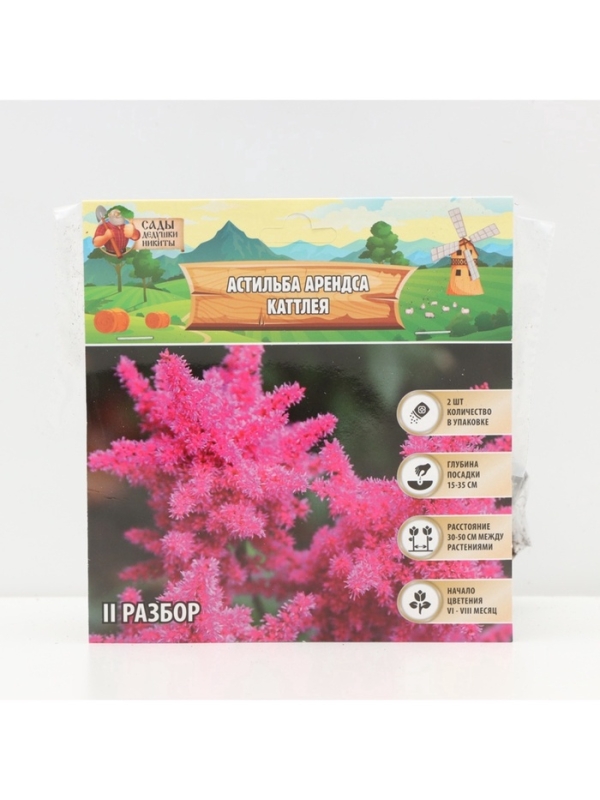 Астильба Арендса Cattleya многолетник, корневище в торфогрунте, р-р II, 2 шт.