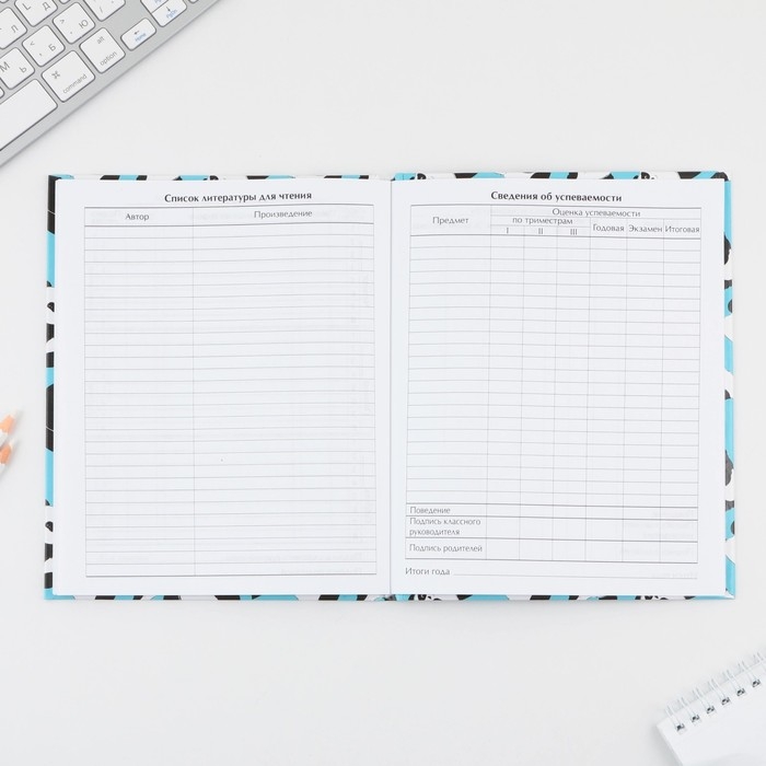 Дневник школьный 5-11 класс «Панды», твердая обложка 7БЦ, глянцевая ламинация, 48 листов Дневник школьный 5-11 класс «Панды», твердая обложка 7БЦ, глянцевая ламинация, 48 листов